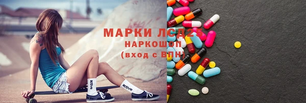 прущий лед Алзамай