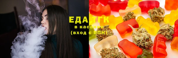 прущий лед Алзамай