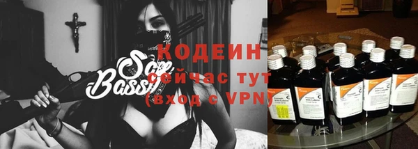 прущий лед Алзамай