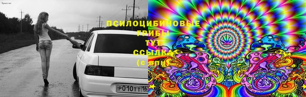прущий лед Алзамай