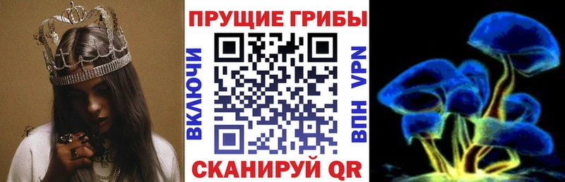 где купить наркоту гидра маркетплейс Псилоцибиновые грибы Psilocybine cubensis Хотьково